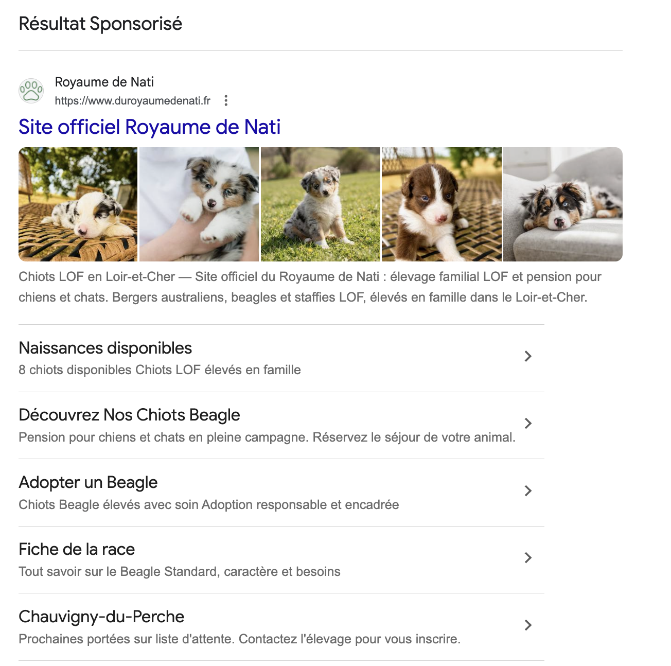 Résultat sponsorisé Google affichant le site officiel du Royaume de Nati.
